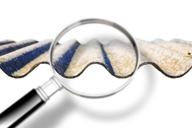 Auto Insurance San Diego Find Low Rates for Every Driver