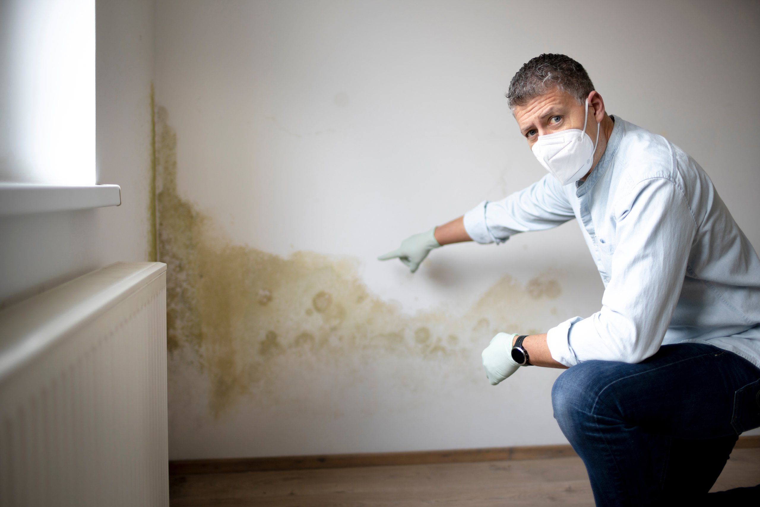 Trusted Mold Remediation Services in Toms River, NJ Improving Indoor Air and Structural Safety