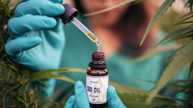 Choosing the Right CBD Oil Strength for Effective Pain Management Results