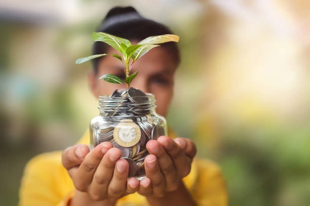 Small Business Finance Solutions for Managing Expenses