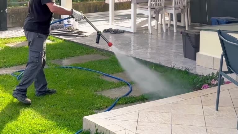 Emergency Pest Control Walthamstow Fast Response & Results