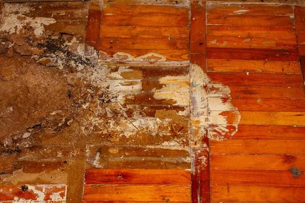 Crawlspace Encapsulation Woodstock to Enhance Comfort and Indoor Air