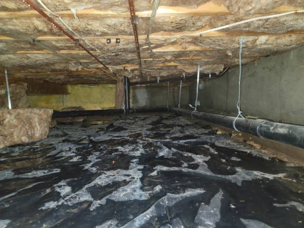 Trusted Crawlspace Encapsulation Woodstock by Local Specialists